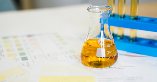 Voortdurende R&D en diensten voor het delen van nieuwe producten